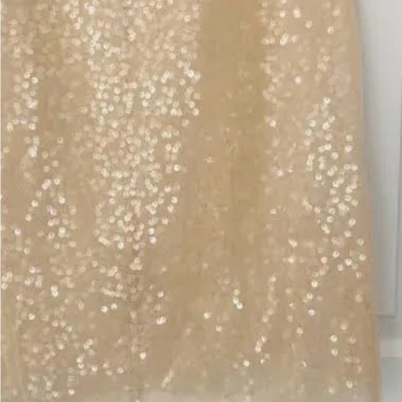 Anthropologie Sunday In Brooklyn Sheer Sequin Midi Skirt-champagne color - Picture 3 of 4